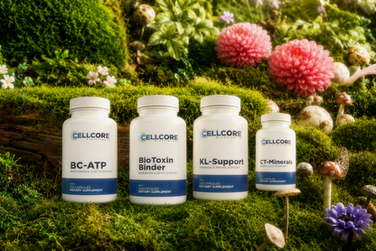 CellCore Jumpstart Kit — BC-ATP, BioToxin Binder, CT-Minerals, and KL Support starter bundle