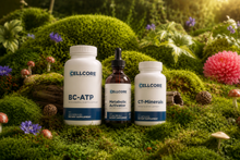 DTE Energy Boost Support Kit — BC-ATP, CT-Minerals, and Metabolic Activator energy bundle