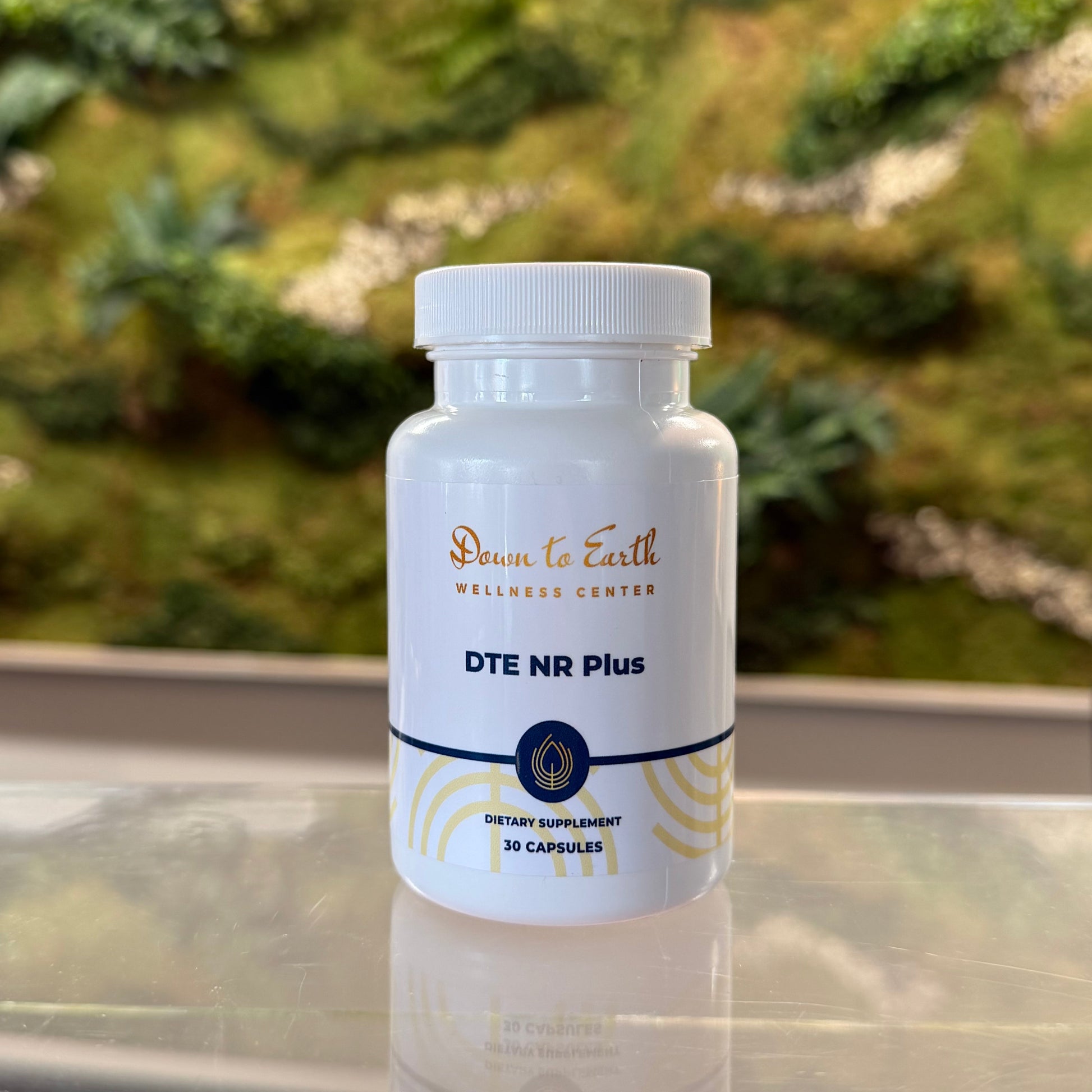 DTE NR Plus — nicotinamide riboside supplement for NAD+ and cellular energy (30 capsules)